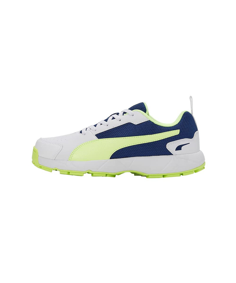PUMA Cricket HighRun Cricket Shoes