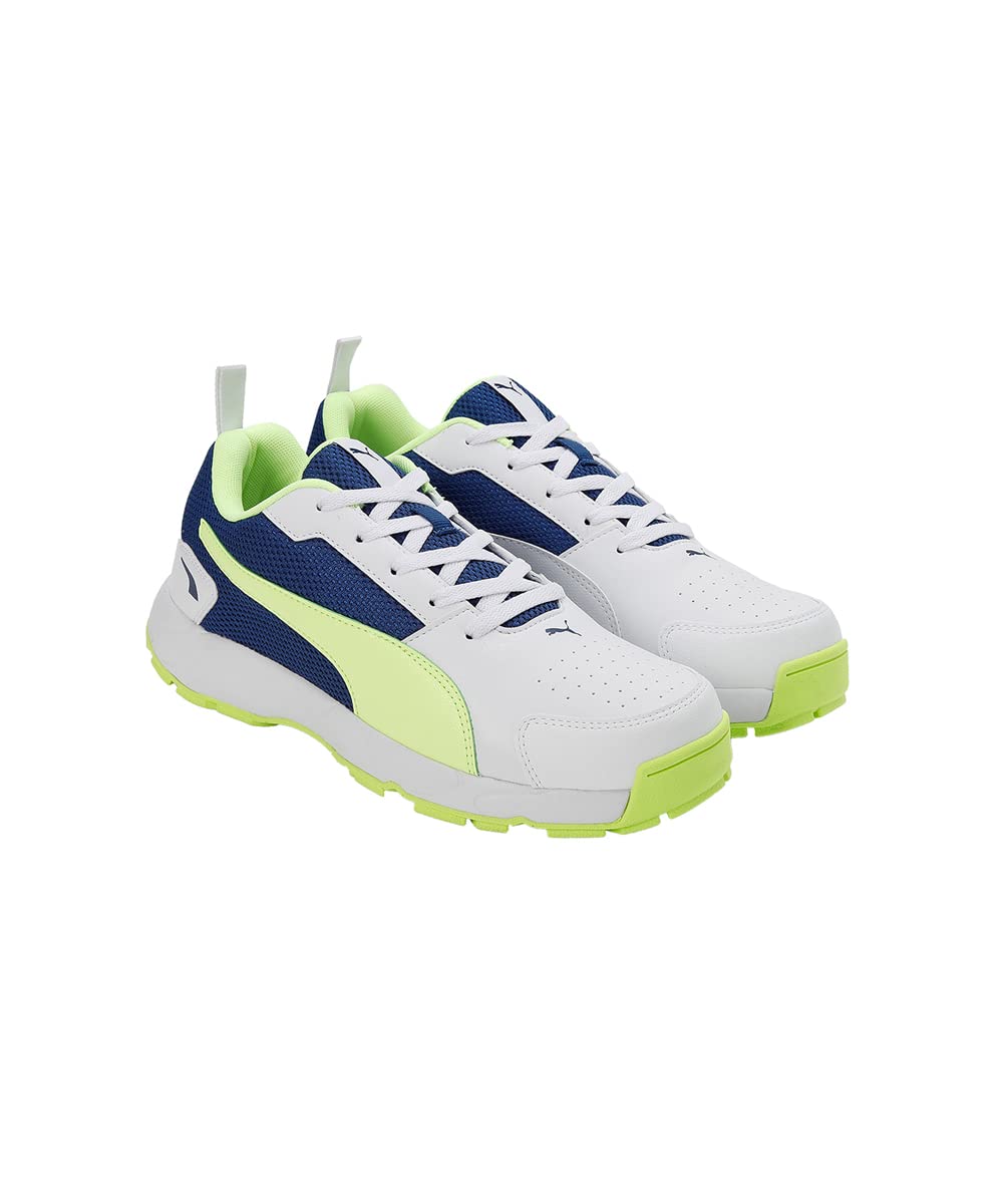 PUMA Cricket HighRun Cricket Shoes