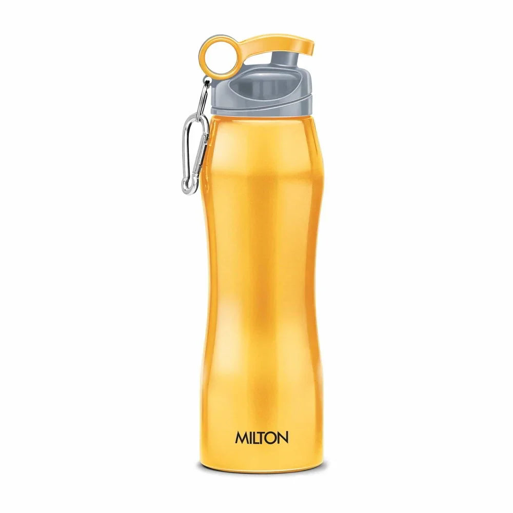 Milton Hawk With Flip Lid Stainless Steel Bottle