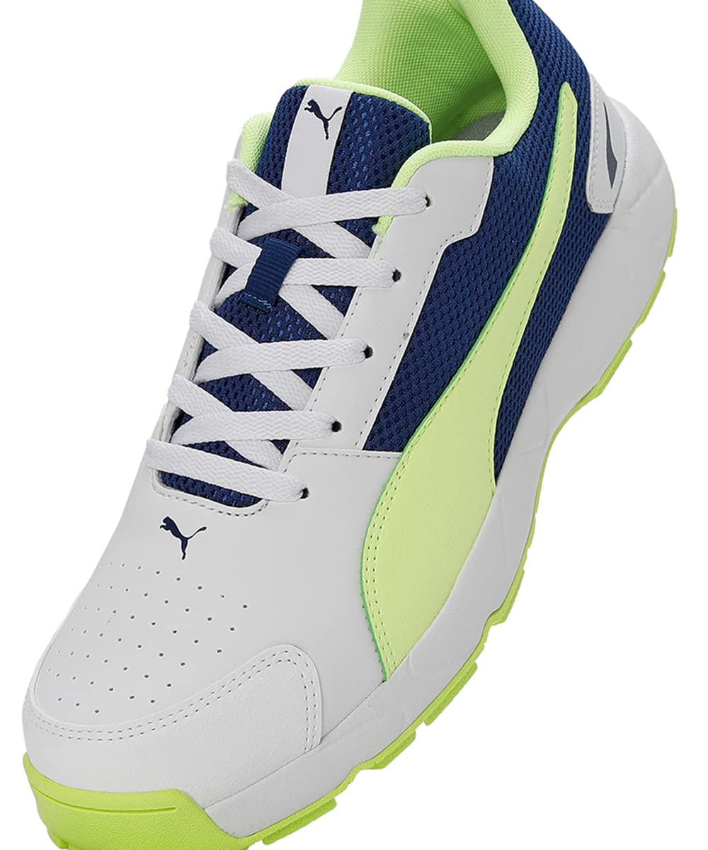 PUMA Cricket HighRun Cricket Shoes