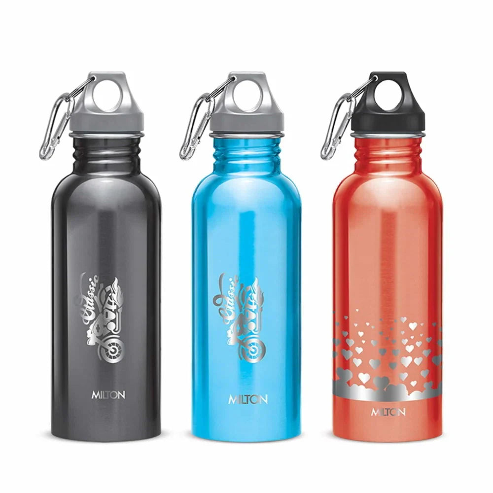 Milton Alive Stainless Steel Bottle