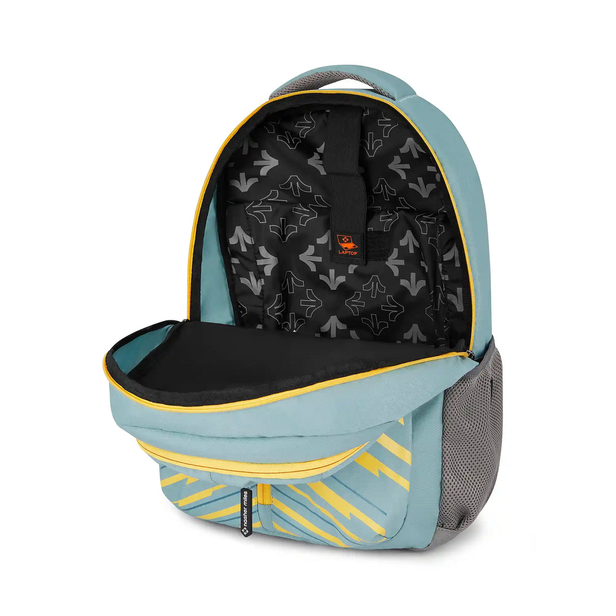 Nasher Miles Geography-8