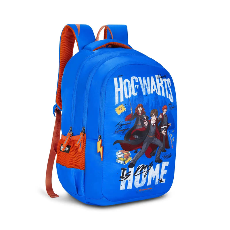 Nasher Miles Home Hogwarts-1