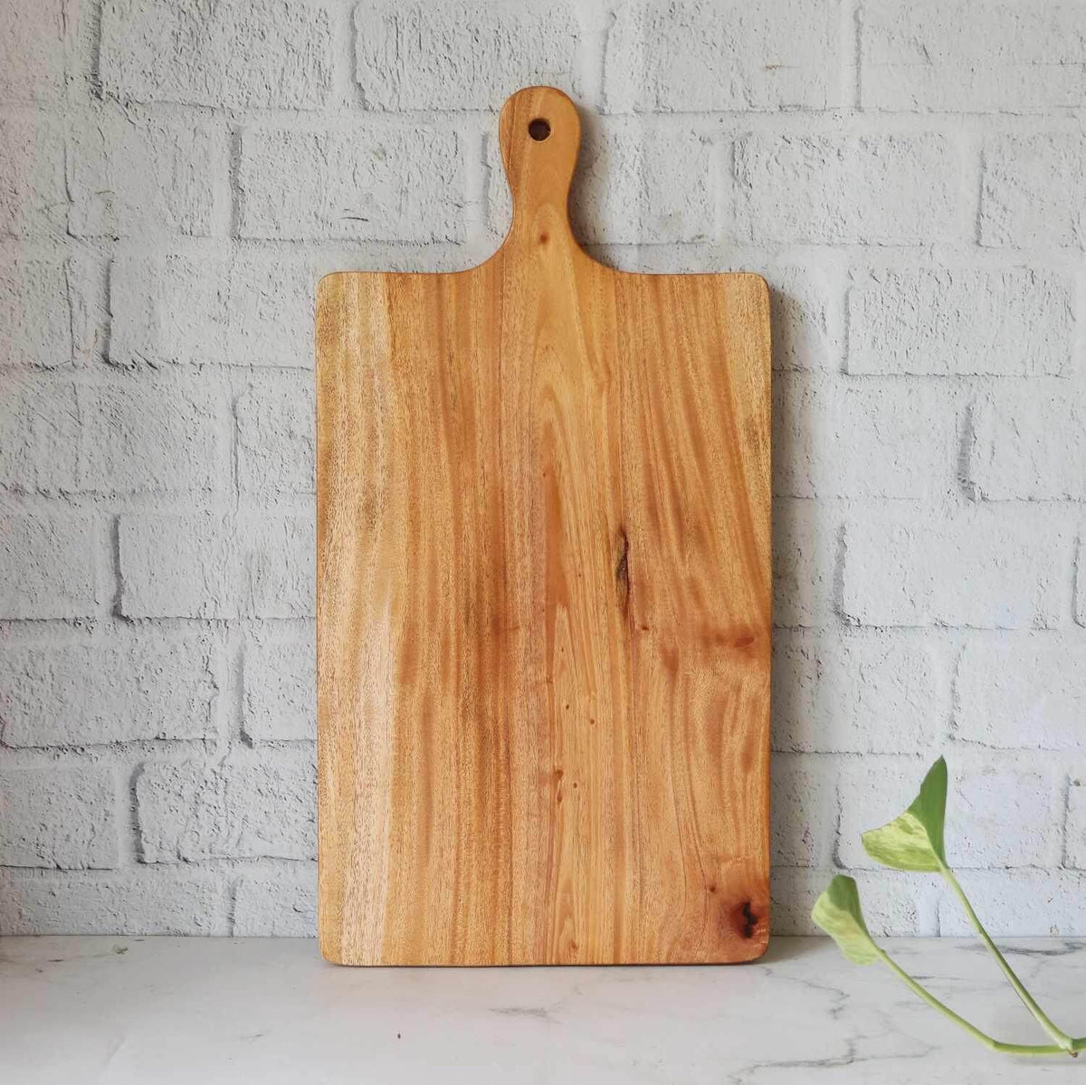 Neem Wood Chopping Board Compact Rectangle With Handle-Zishta Kitchen Accessories