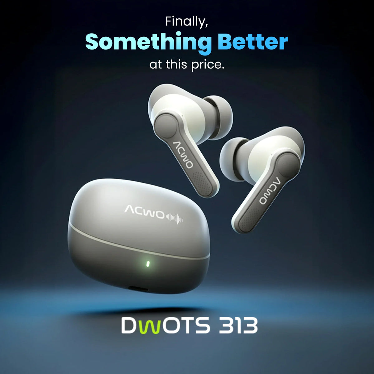 DwOTS 313 Earbuds